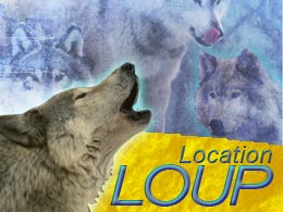 louer animal loup