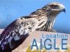 louer animal aigle